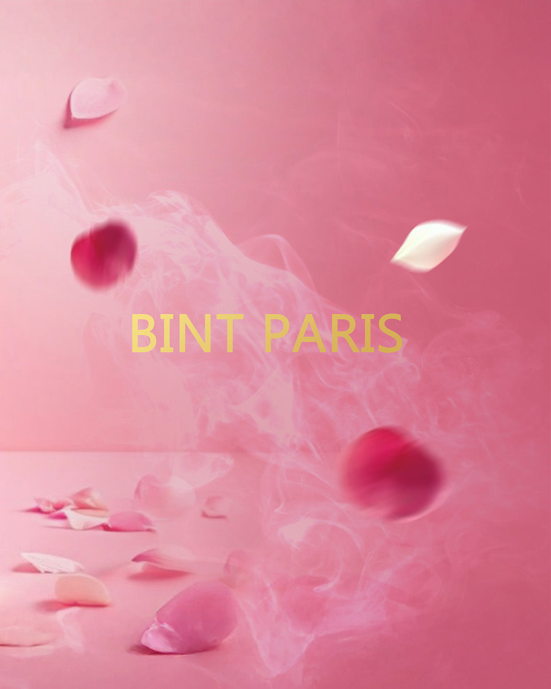 BINT PARIS