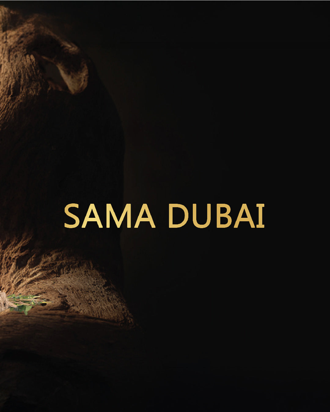 SAMA DUBAI