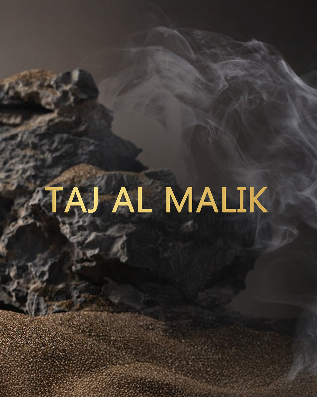 TAJ MALIK